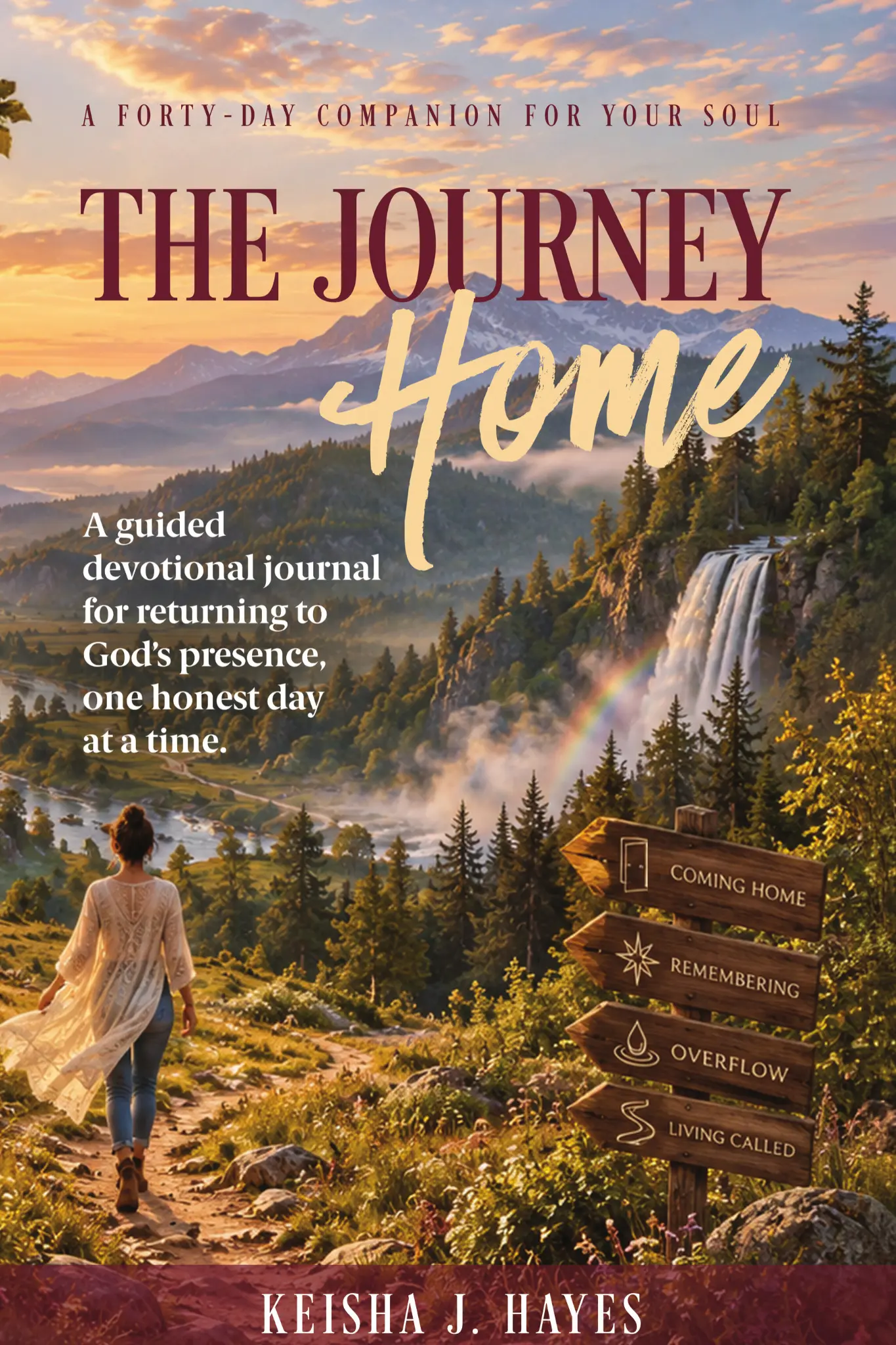 The Journey Home book cover